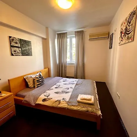 Apartment Amzei *
